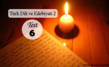 Türk Dili ve Edebiyatı 2 – Test 6
