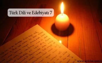 Türk Dili ve Edebiyatı 7