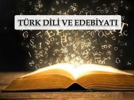 Türk Dili ve Edebiyatı dersi soruları