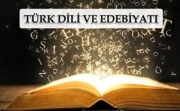 Türk Dili ve Edebiyatı dersi soruları
