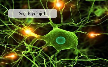 Seçmeli Biyoloji 1