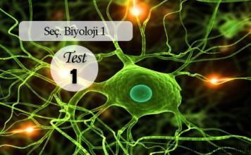 Seçmeli Biyoloji 1 Test 1