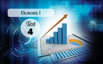 Seçmeli Ekonomi 1 Test 4