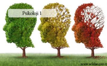 Seçmeli Psikoloji 1