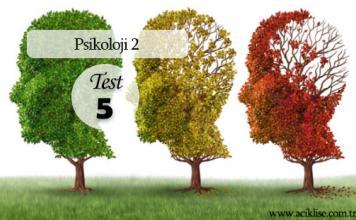 Seçmeli Psikoloji 2 Test 5